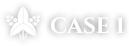 CASE 1